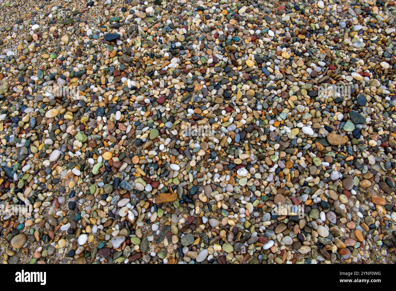 Pebble Beach a colori da vicino Foto Stock