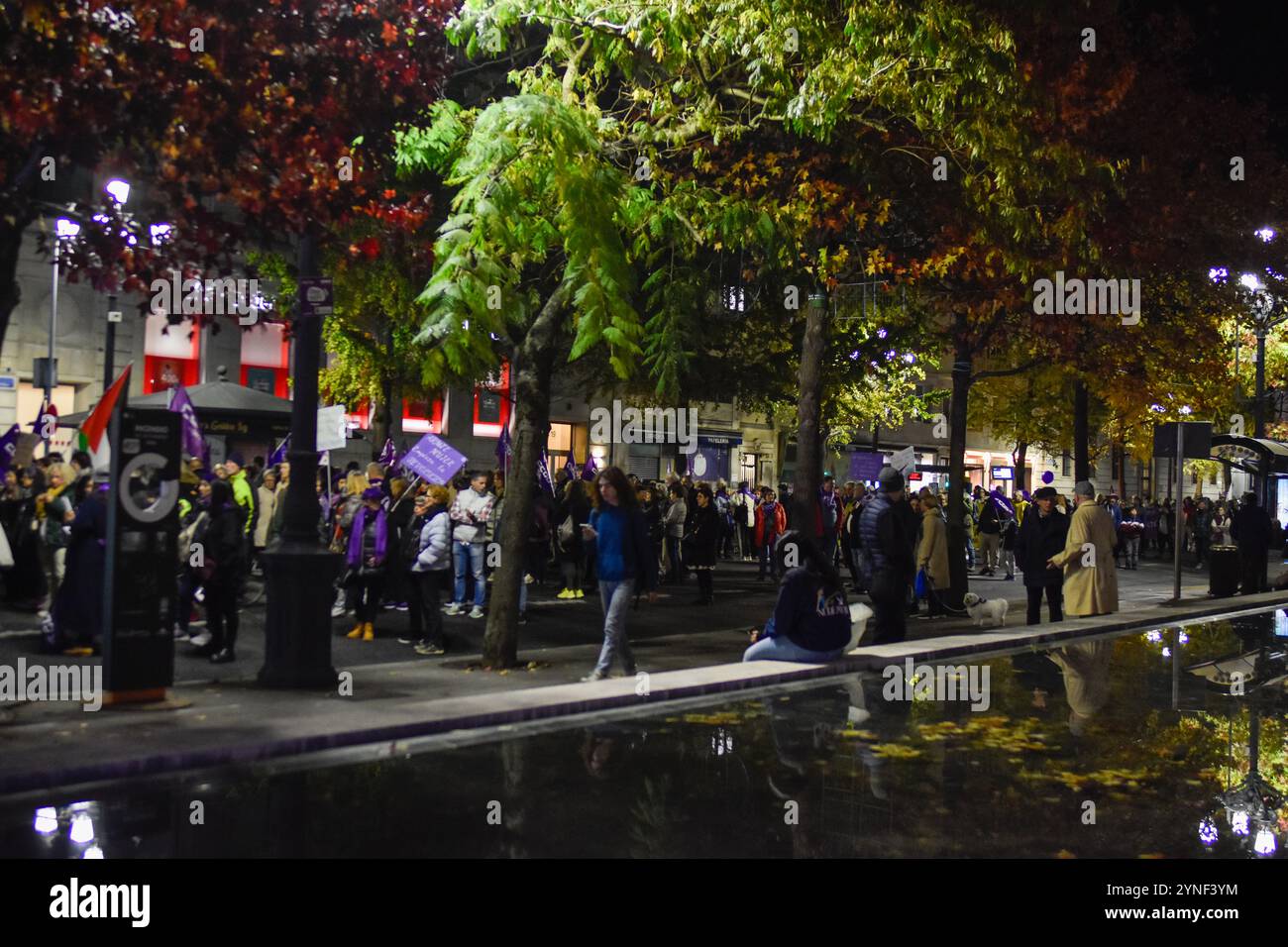 Santander, Cantabria, Spagna, 25 novembre 2024, manifestanti durante la manifestazione a Santander, Cantabria, Spagna, 25 novembre 2024, nella giornata internazionale per l'eliminazione della violenza contro le donne. Crediti: Javier Linares Misioner / Alamy Live News Foto Stock