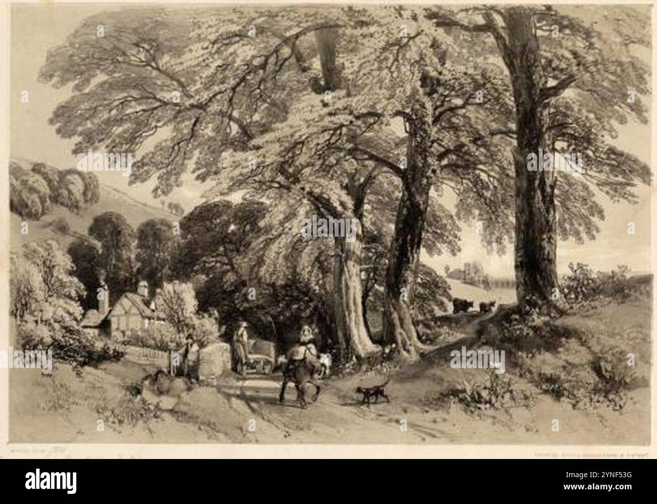 Bury Hill, Dorking di James Duffield Harding - James Duffield Harding Foto Stock