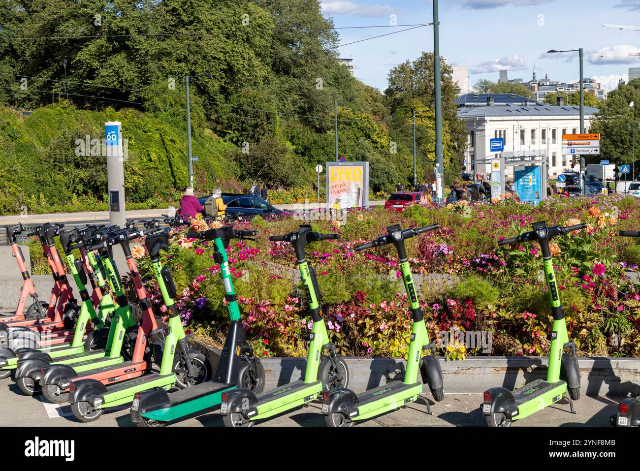 Oslo Norvegia, scooter elettrici a batteria rossi e verdi a noleggio per visite turistiche della città, centro di Oslo, Norvegia, 2024 Foto Stock