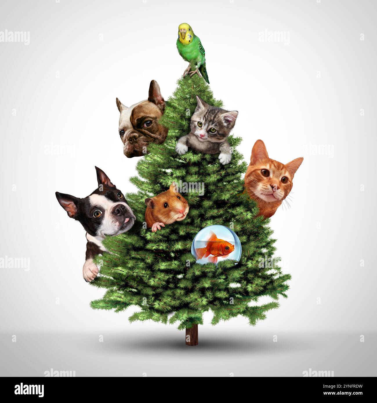 Animali domestici e Natale come un simpatico gruppo di animali per le vacanze stagionali come un natale d'inverno decorazione classica e festa di Capodanno adorabili ornamenti di animali come un Foto Stock