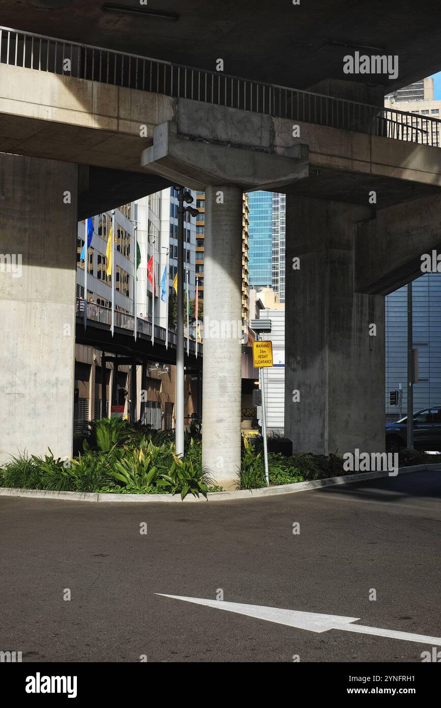 Una piantagione urbana di piante verdi tra colonne quadrate di sostegno in cemento sotto la superstrada a Darling Harbour Sydney Foto Stock