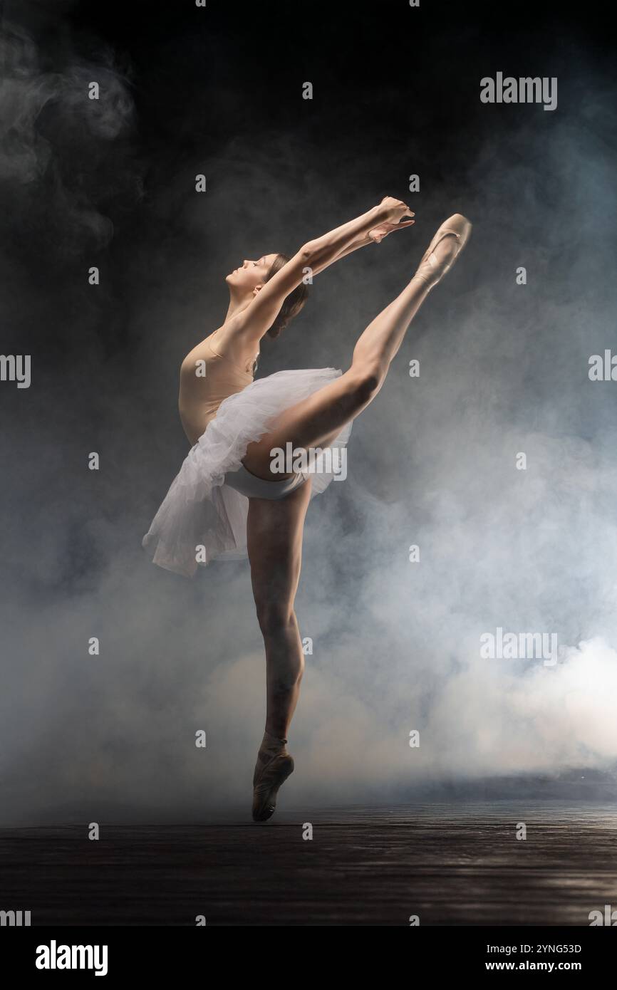 Graziosa ballerina di balletto che esegue un elegante salto in un ambiente nebbioso Foto Stock