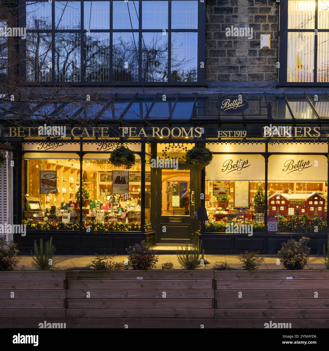 Finestre decorate a Natale (strada illuminata, baldacchino in vetro, nome del negozio di panetteria, sera d'inverno) - Bettys Café Tea Room, Ilkley, Yorkshire, Inghilterra, Regno Unito. Foto Stock