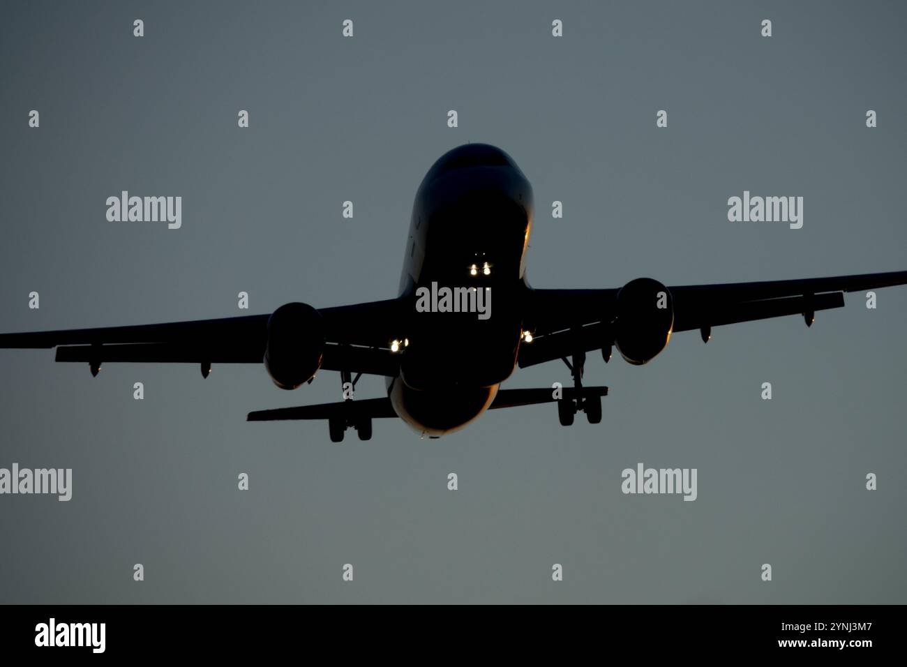 Aereo a reazione atterra al crepuscolo in avvicinamento Foto Stock