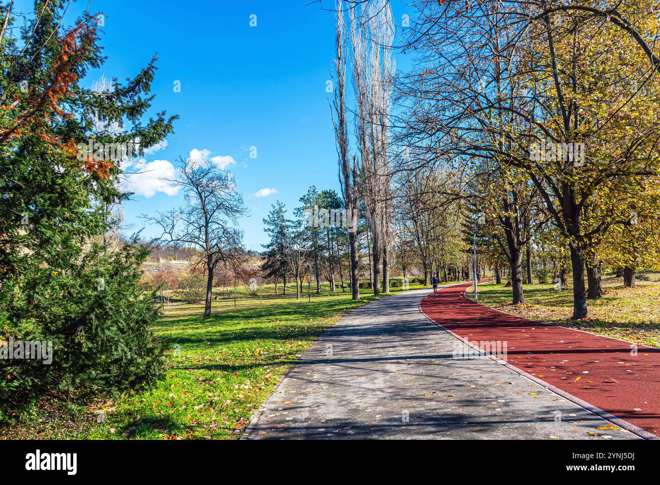 Pista da corsa per sport e attività ricreative nel parco cittadino di Skopje. Foto Stock