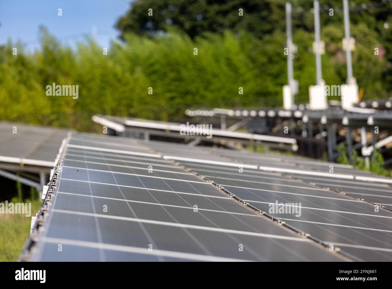 Pannelli solari in un ambiente rurale con vegetazione lussureggiante per energie rinnovabili Foto Stock