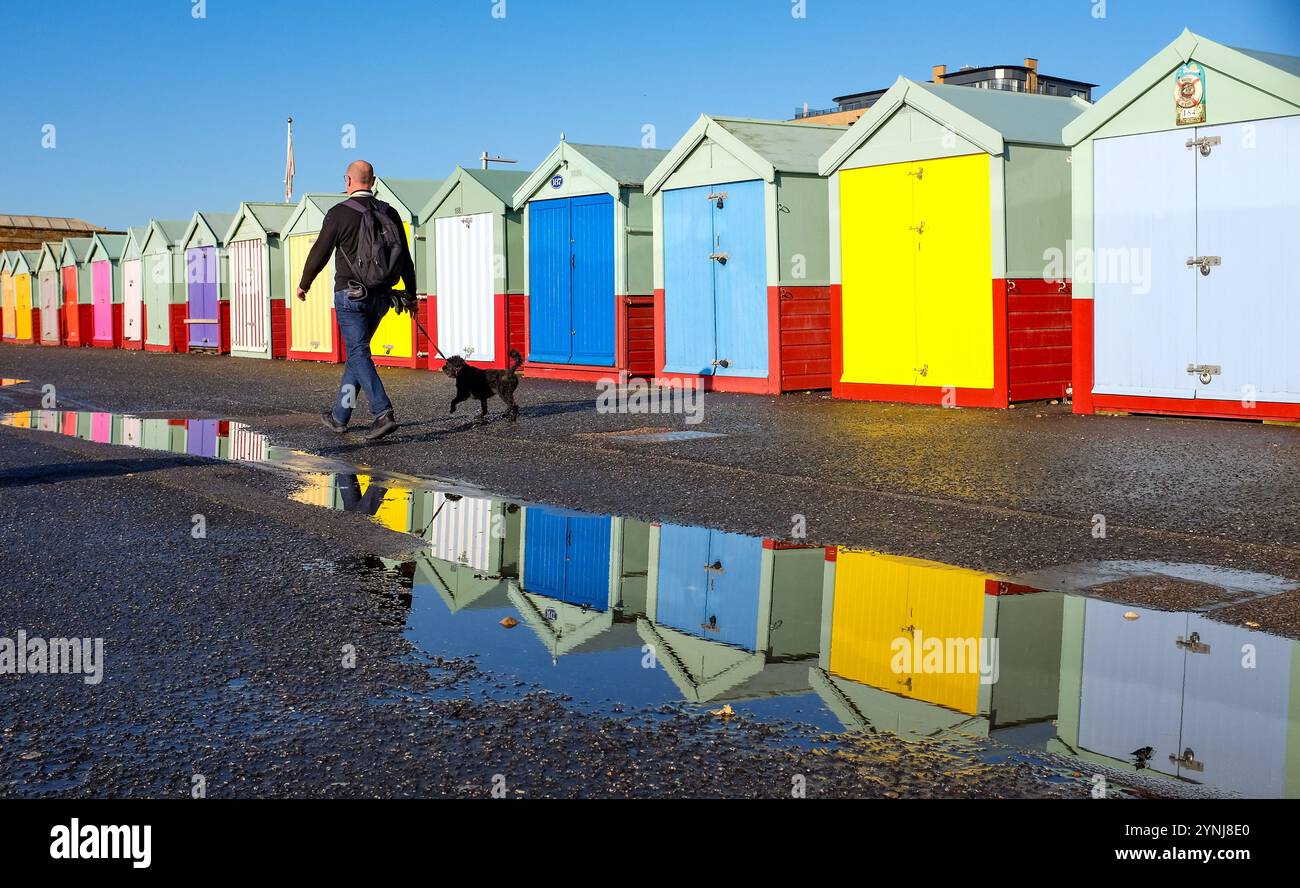 Brighton Regno Unito 26 novembre 2024 - Un passante di cani gode di una bella giornata di sole lungo il lungomare di Hove, passando per le colorate capanne sulla spiaggia dopo che Storm Bert aveva causato il caos in tutto il Regno Unito: Credit Simon Dack / Alamy Live News Foto Stock