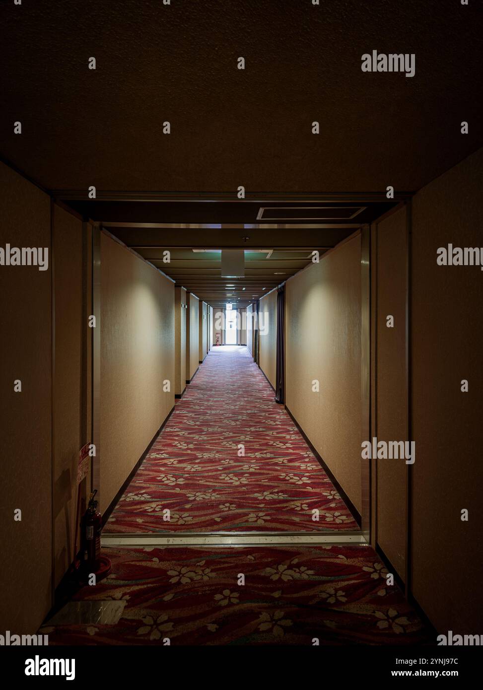 Corridoio dell'hotel con illuminazione soffusa, tappeto rosso con motivi geometrici e una porta d'uscita illuminata in lontananza Foto Stock