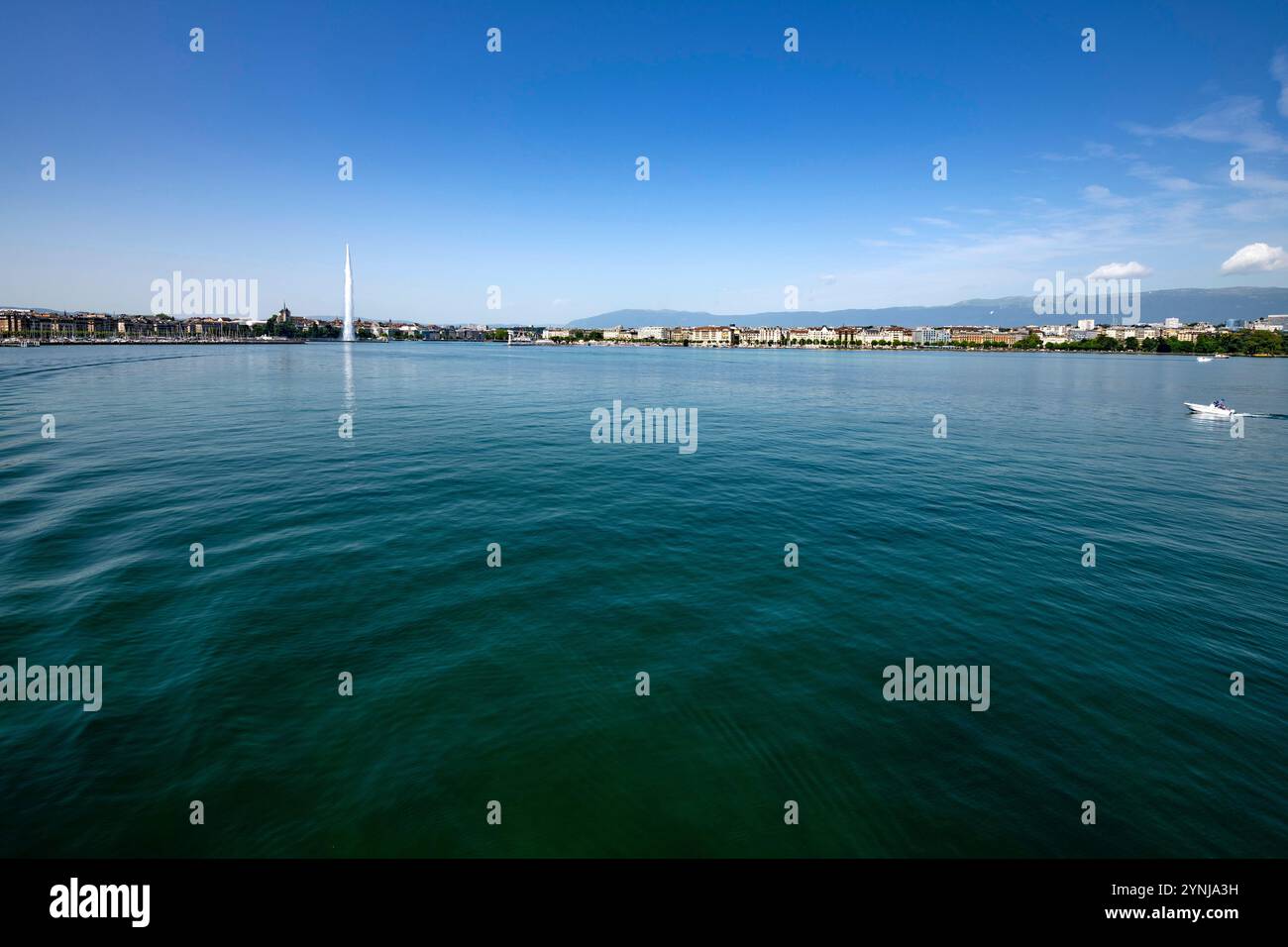 Svizzera, Svizzera, Cantone di Genève, Kanton Genf, cantone di Ginevra, Genève, Genf, Ginevra, ville, Stadt, città, città, Lac Léman, Genfer vede Foto Stock