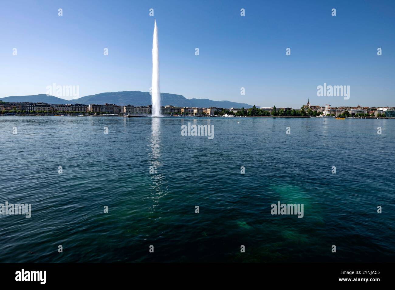 Svizzera, Svizzera, Canton Genève, Kanton Genf, cantone di Ginevra, Genève, Genf, Ginevra, ville, Stadt, città, città, Lac Léman, Genfer SEE, Foto Stock