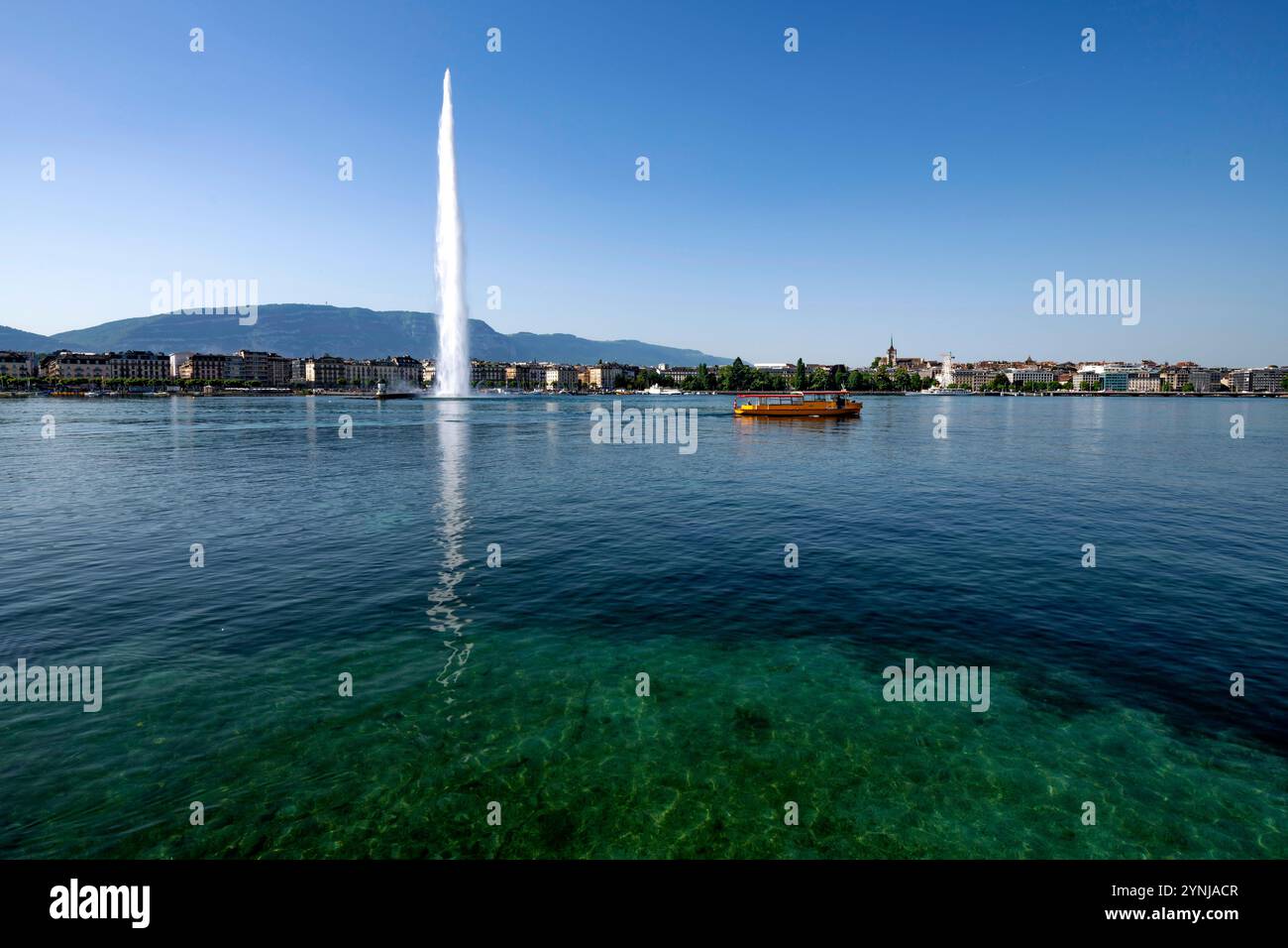 Svizzera, Svizzera, Canton Genève, Kanton Genf, cantone di Ginevra, Genève, Genf, Ginevra, ville, Stadt, città, città, Lac Léman, Genfer SEE, Foto Stock