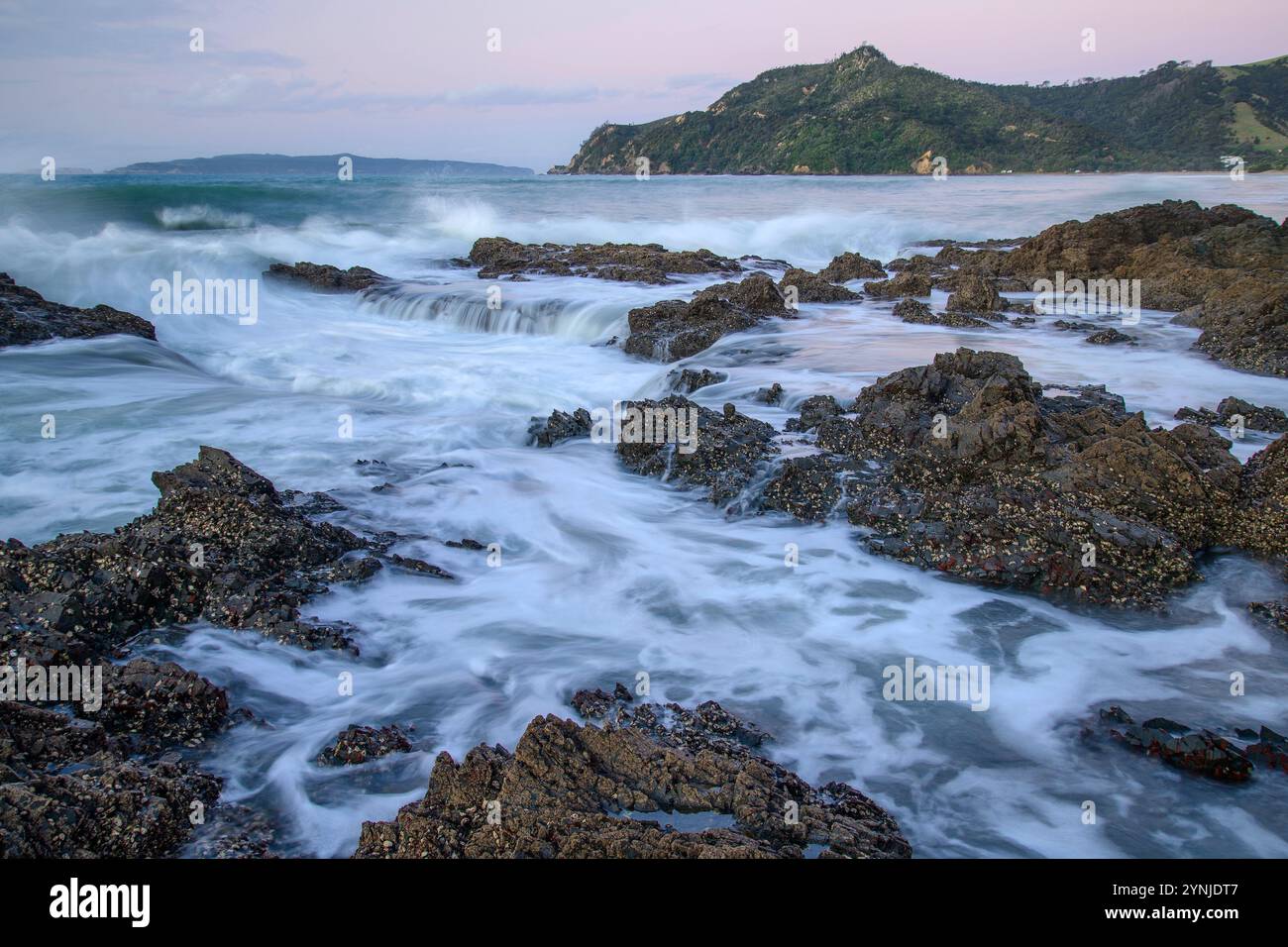 Nuova Zelanda, Isola del Nord, Penisola di Coromandel, Spiaggia di Kuaotunu, Foto Stock