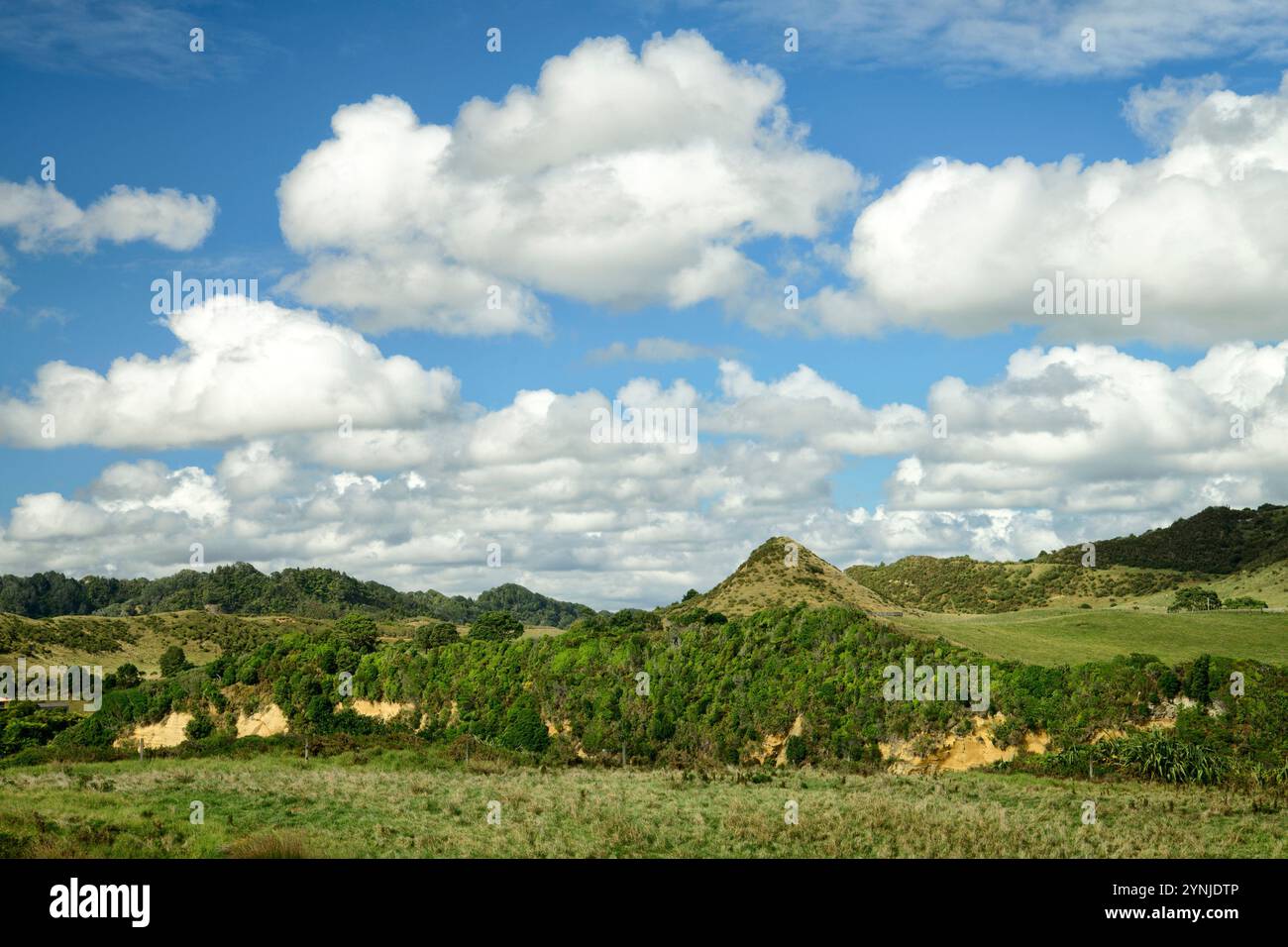 Nuova Zelanda, Isola del Nord, Manunui, colline panoramiche Foto Stock