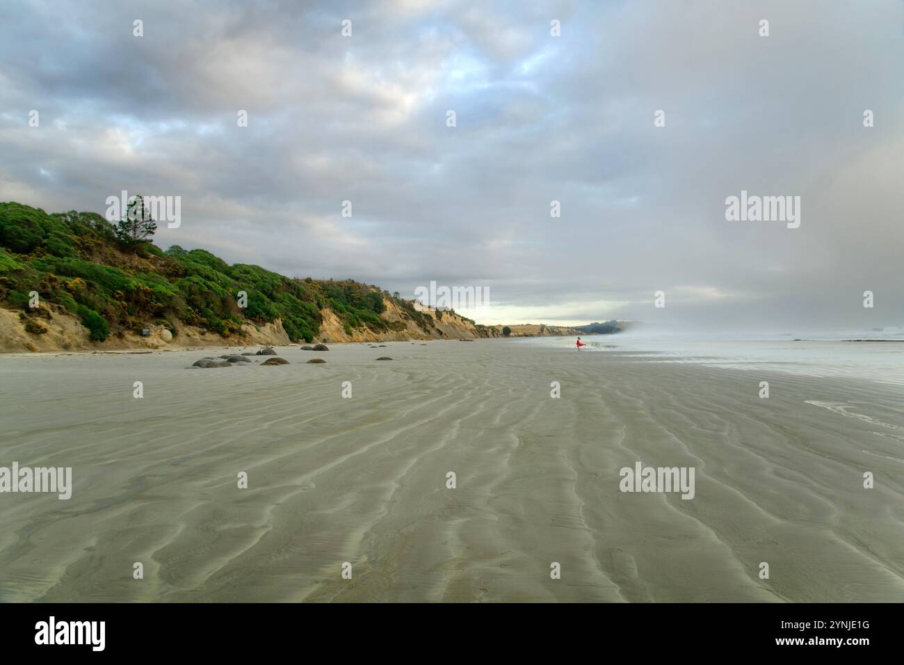 Nuova Zelanda, Isola del Sud, Otago, Moeraki Boulders, spiaggia Foto Stock