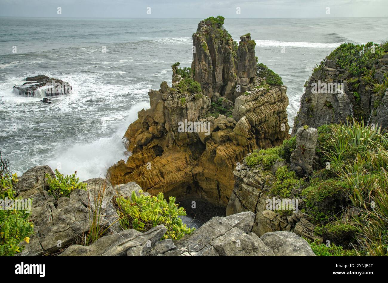 Nuova Zelanda, Isola del Sud, Costa occidentale, Parco Nazionale di Paparoa, Punakaiki, pancake Rocks Foto Stock