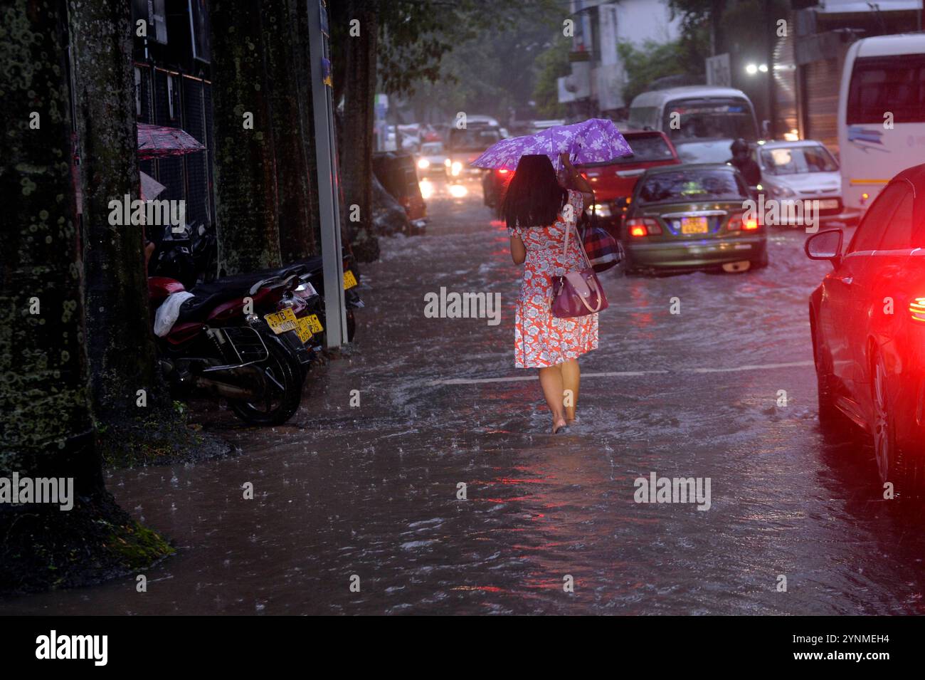 Colombo, Sri Lanka. 26 novembre 2024. Una passeggiata pedonale su una strada allagata a Colombo, Sri Lanka, 26 novembre 2024. Martedì il Dipartimento di Meteorologia dello Sri Lanka ha lanciato un allarme rosso, avvertendo che la profonda depressione nel Golfo del Bengala si intensificherà in una tempesta ciclonica il mercoledì. Crediti: Gayan Sameera/Xinhua/Alamy Live News Foto Stock