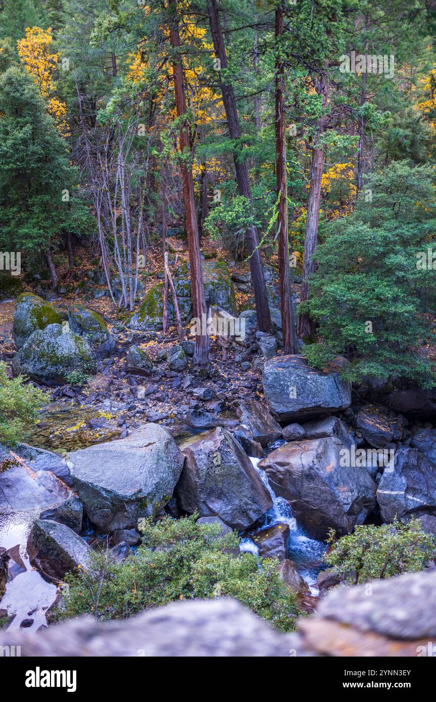 Riflessi invernali nella natura incontaminata dello Yosemite. Foto Stock
