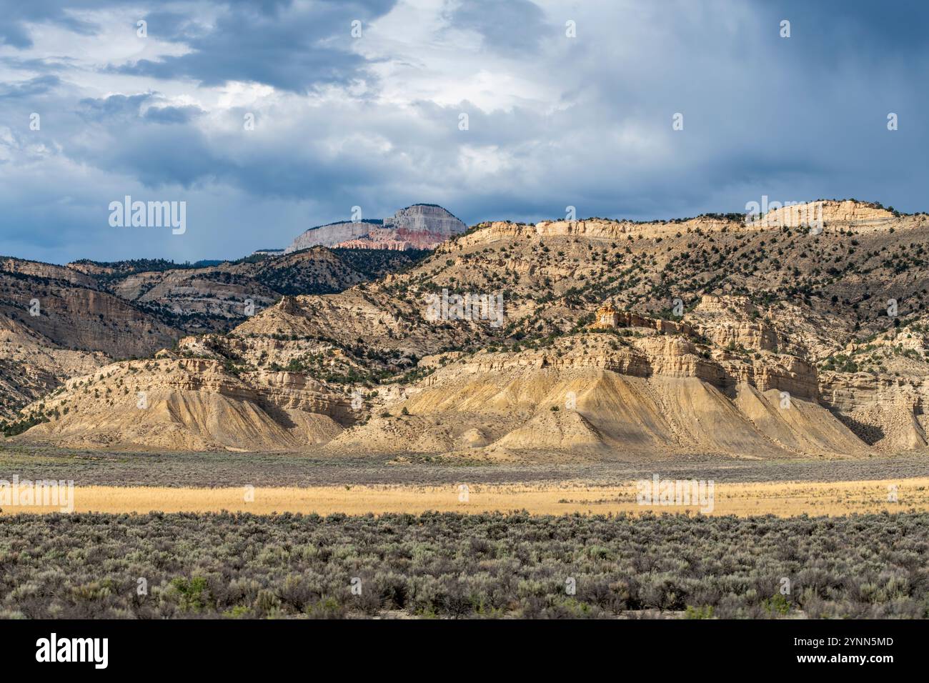 Nuvole scure su un paesaggio desertico soleggiato del sud-ovest, visto dalla panoramica Route 12 attraverso lo Utah durante un viaggio attraverso gli Stati Uniti Foto Stock