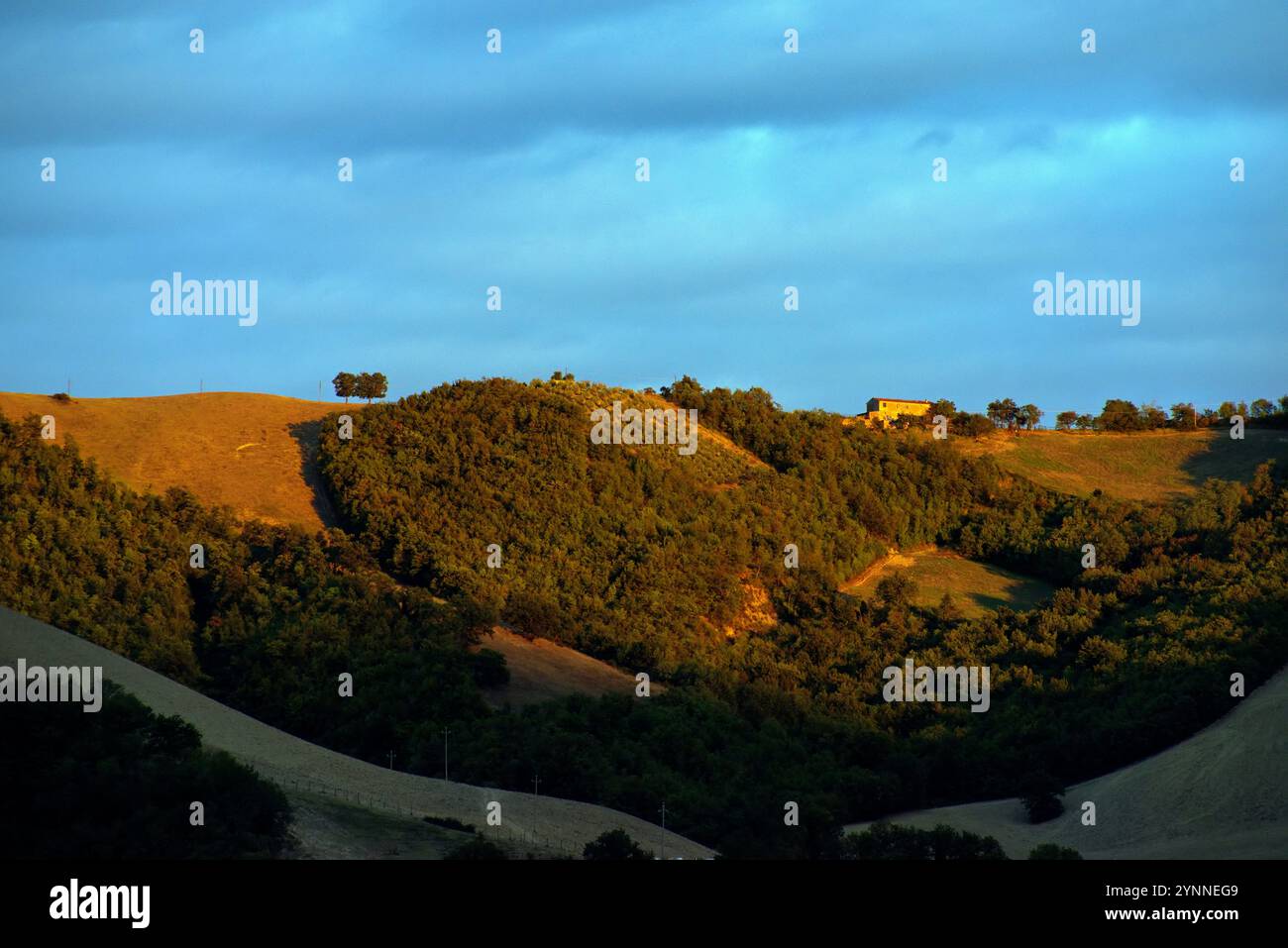 Boschi e campi arati su una collina nell'ora d'oro Foto Stock