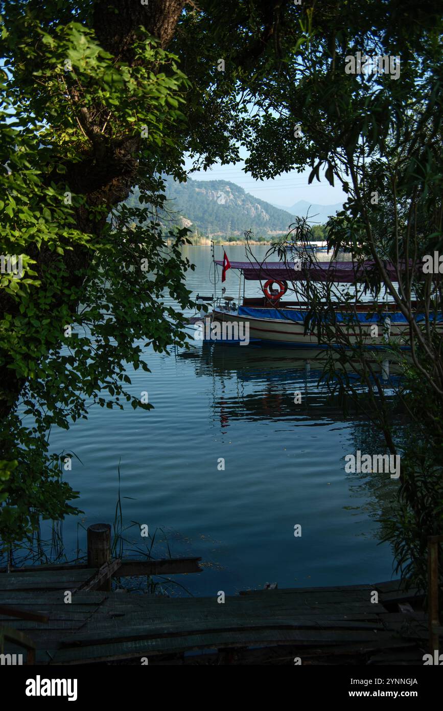 Il fiume Dalyan, in Turchia Foto Stock