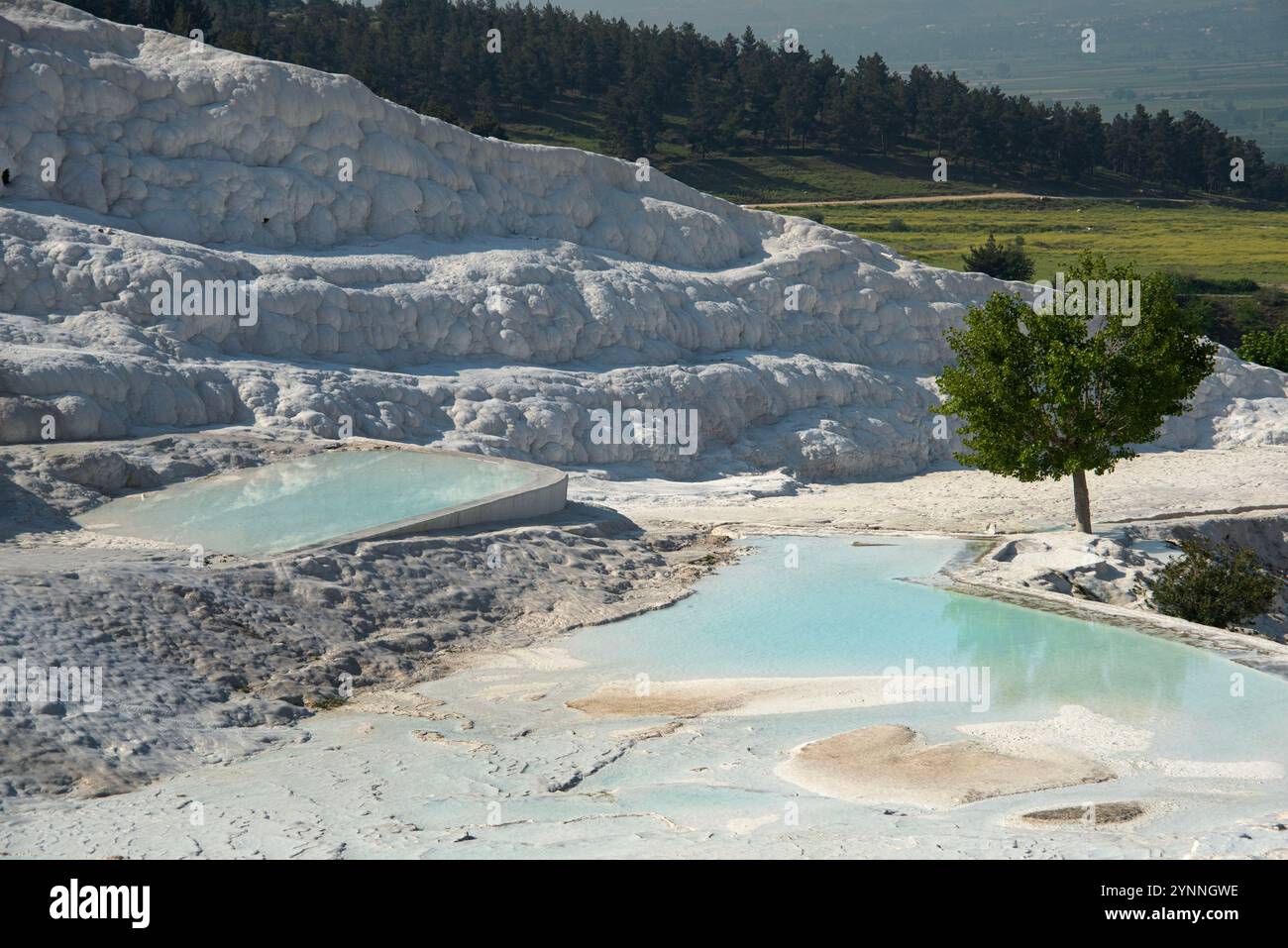 Le terrazze di travertino di Pamukkale sono lasciate da acqua termale che scorre, creando piscine termali naturali calde e alcune artificiali. Foto Stock