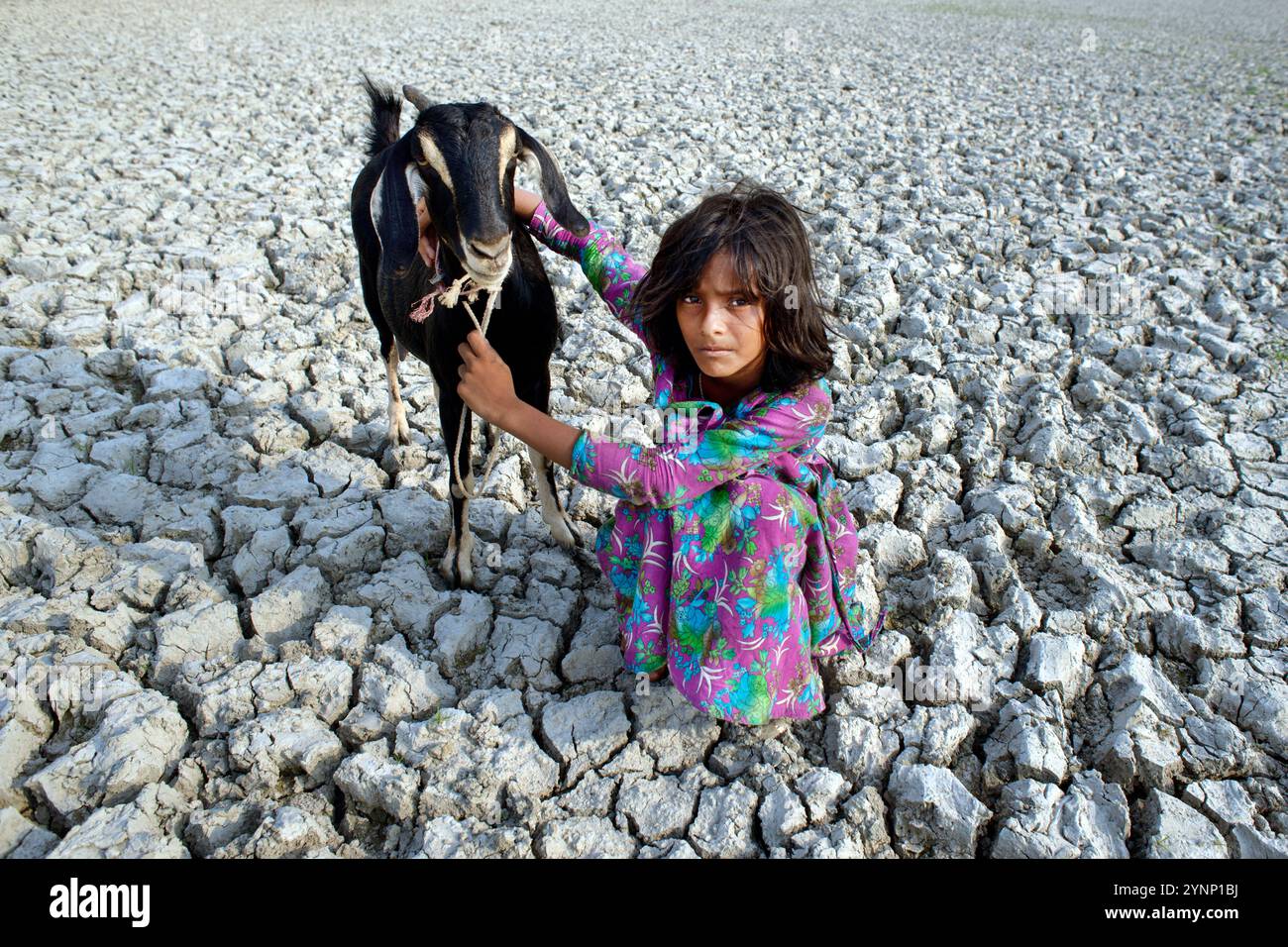 Riscaldamento globale. dalla siccità Foto Stock