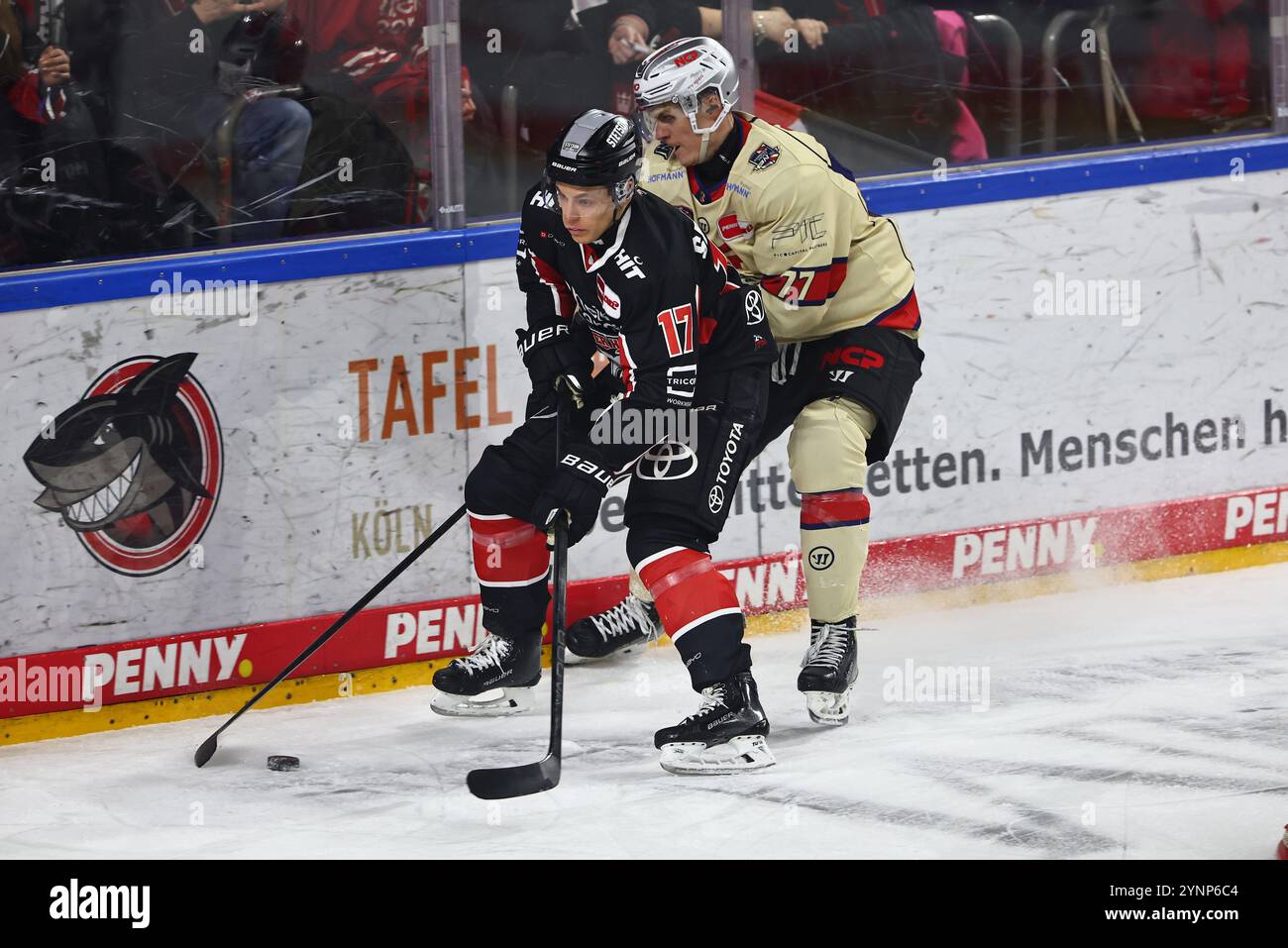 Jan-Luca Sennhenn (Koeln) im Zweikampf mit William Graber (Norimberga) Koelner Haie vs Nuernberg Ice Tigers, Eishockey, DEL, 26.11.2024 foto: René Weiss/Eibner Foto Stock