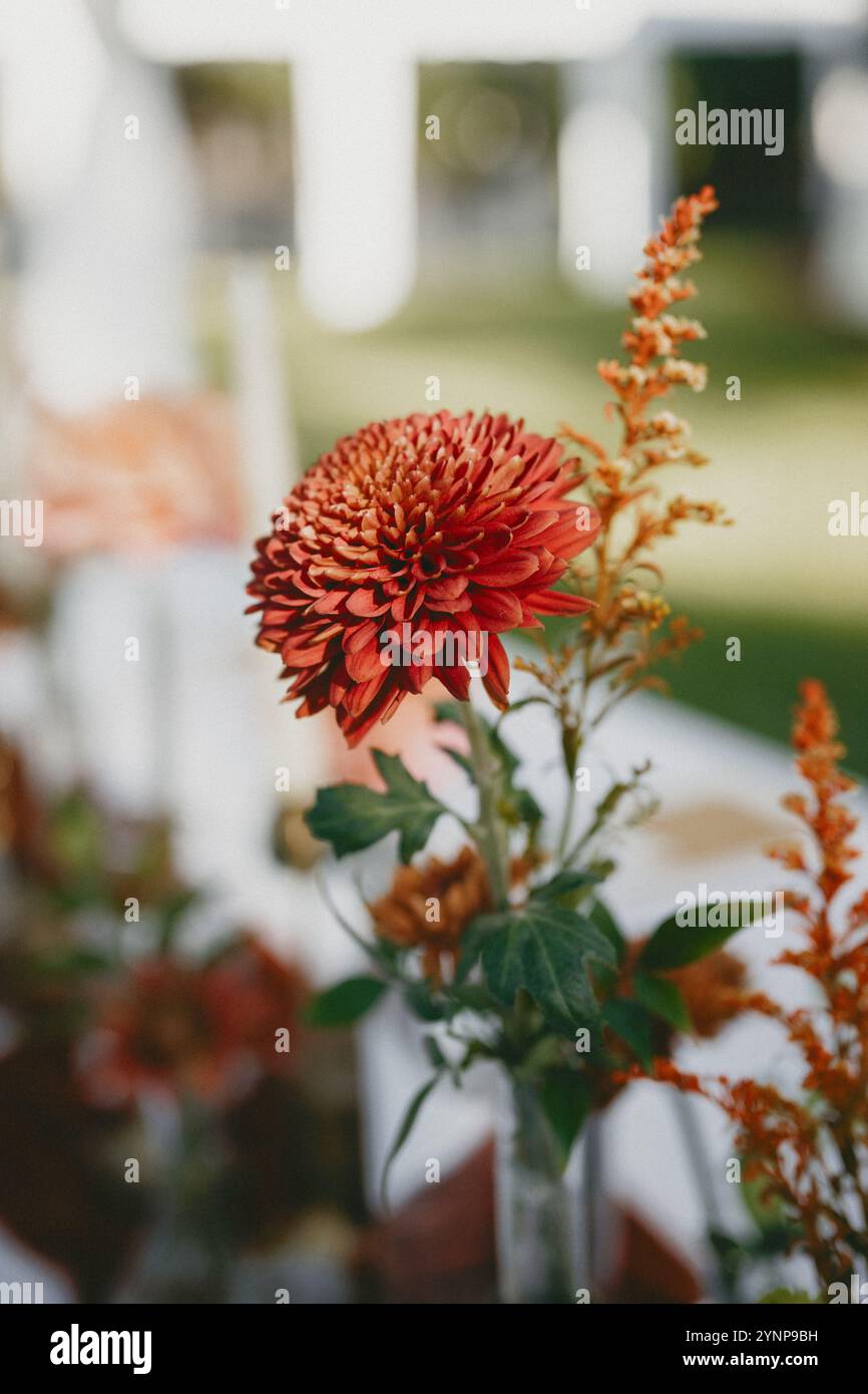 Elegante arredamento da tavolo sul retro con vivaci composizioni floreali autunnali, portacandele in ottone e un ricco portabandele in velluto di terracotta. Foto Stock