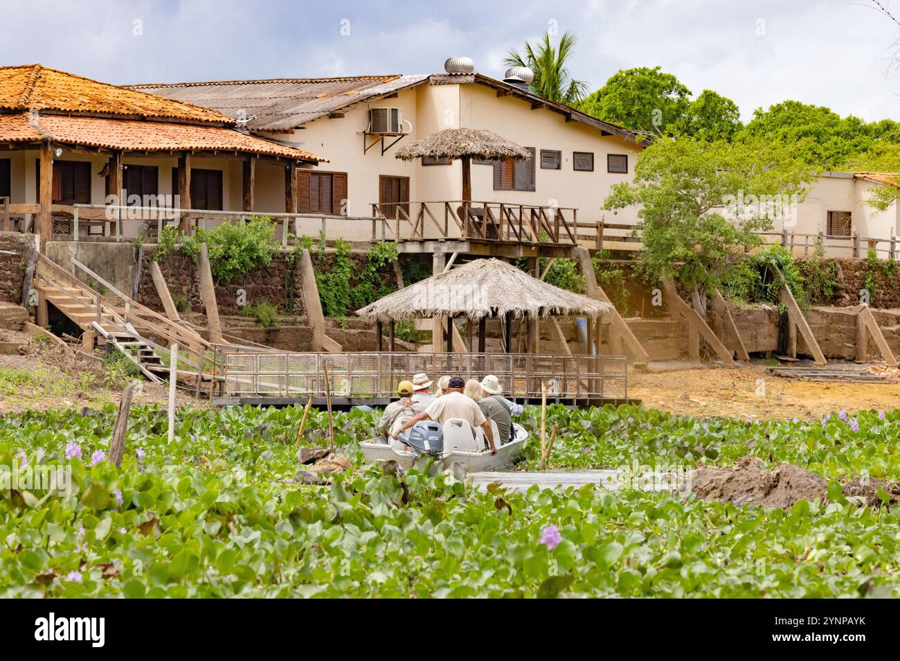 Turisti brasiliani - persone in gita in barca nelle paludi di Pantanal in cerca di fauna selvatica; esempio di eco-turismo; viaggi in Brasile in Sud America. Foto Stock