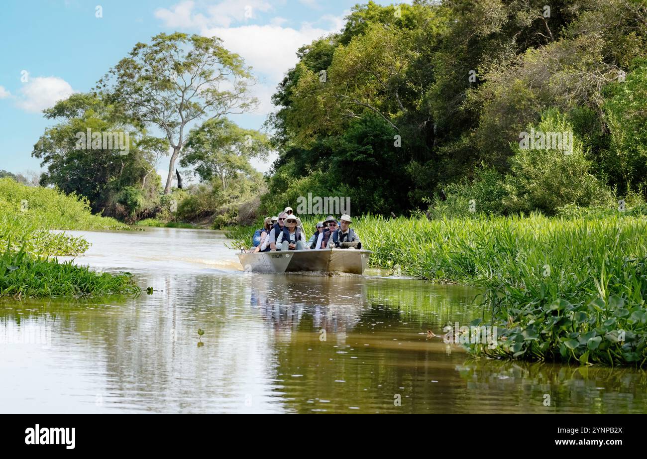 Turismo in Brasile - persone in gita in barca nelle zone umide del Pantanal alla ricerca di fauna selvatica; esempio di eco-turismo; viaggi in Brasile in Sud America. Foto Stock