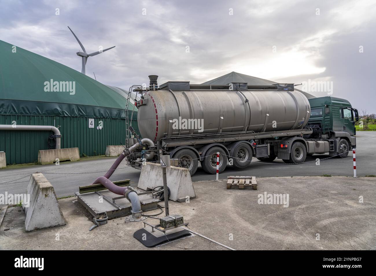 Impianto di biogas, il gas è prodotto da varie biomasse, compresi i rifiuti dell'industria alimentare, forniti da autocarri cisterna, l'elettricità viene prodotta Foto Stock