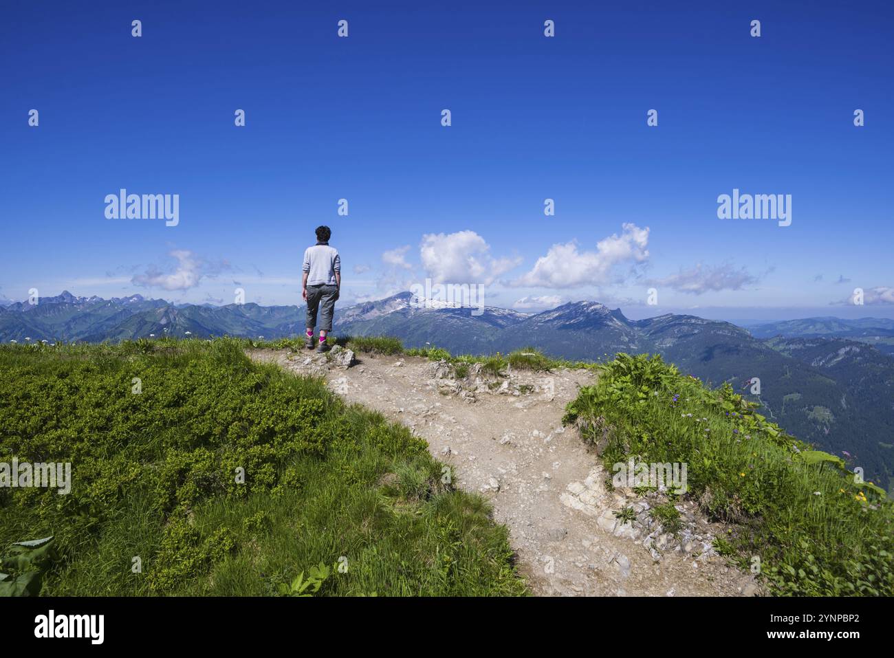 Sentiero escursionistico da Fellhorn, 2038 m, a Soellereck, Allgaeu Alps, Allgaeu, Baviera, Germania, sullo sfondo la montagna Hoher Ifen, 2230 m, Vorarlber Foto Stock