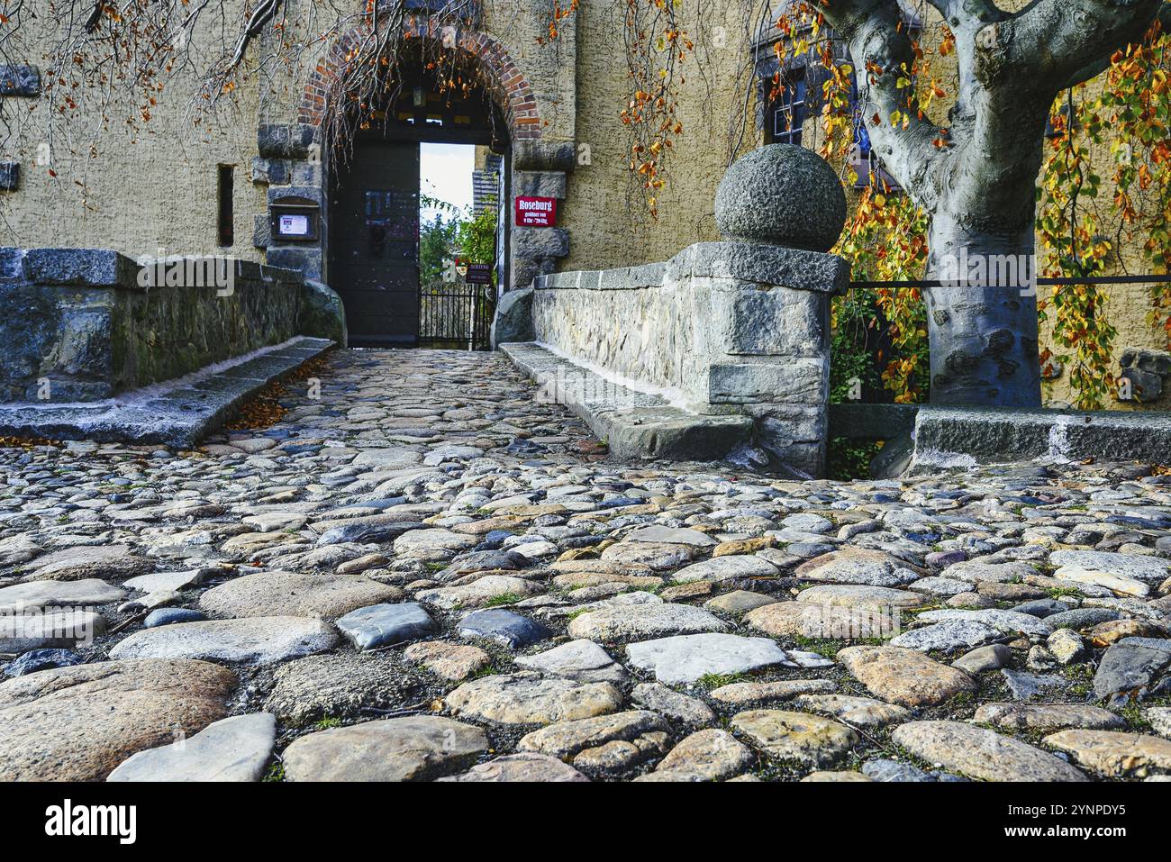 Castello di Roseburg nei pressi di Ballenstedt in Sassonia-Anhalt Germania Foto Stock