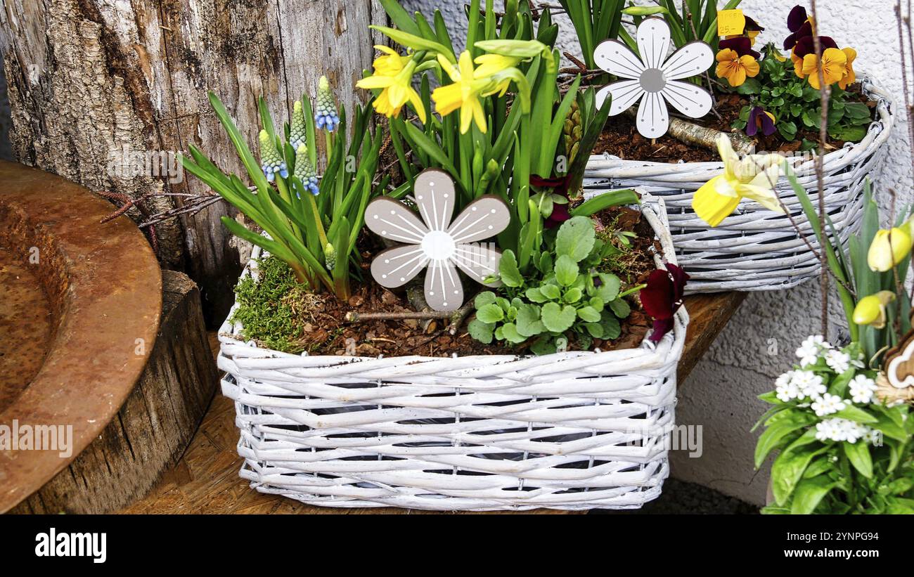 Floreale in un cesto di vimini Foto Stock