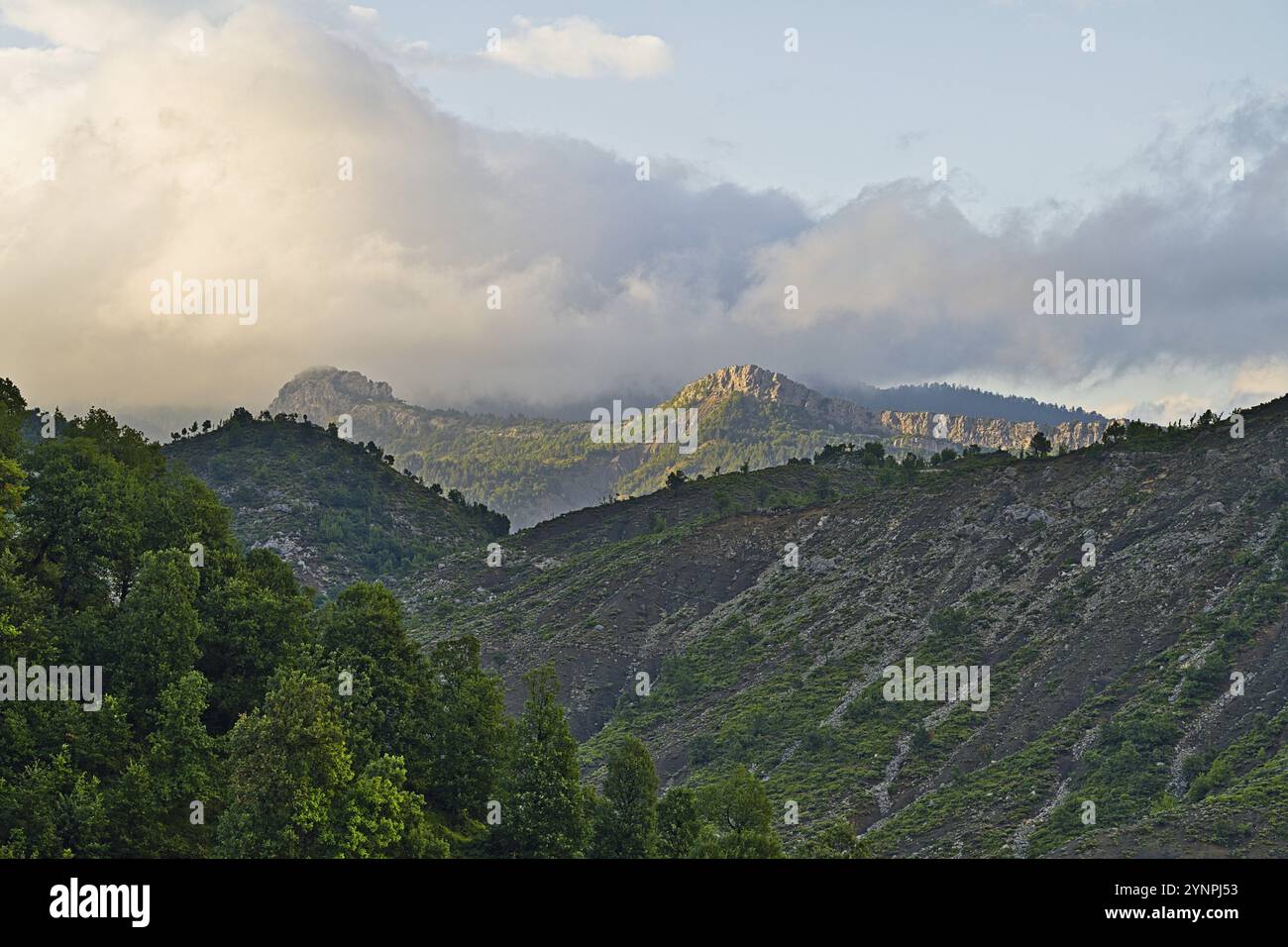 Parco nazionale di Hotova Dangell con vista sul paesaggio verde nonostante le secche condizioni estive Foto Stock