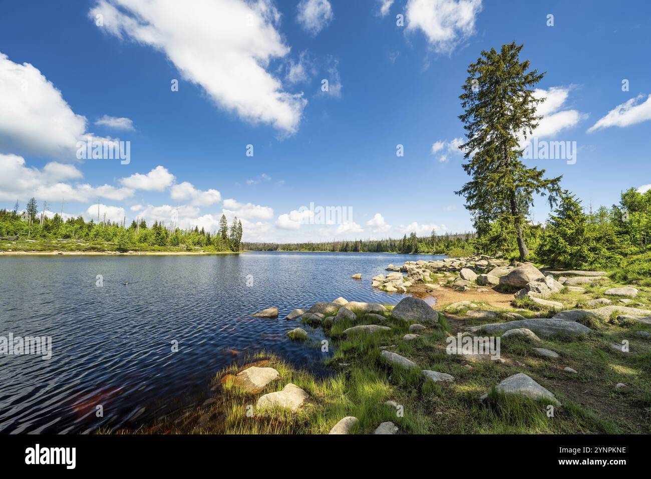 Una vista dell'Oderteich nelle montagne Harz sotto un cielo blu Foto Stock
