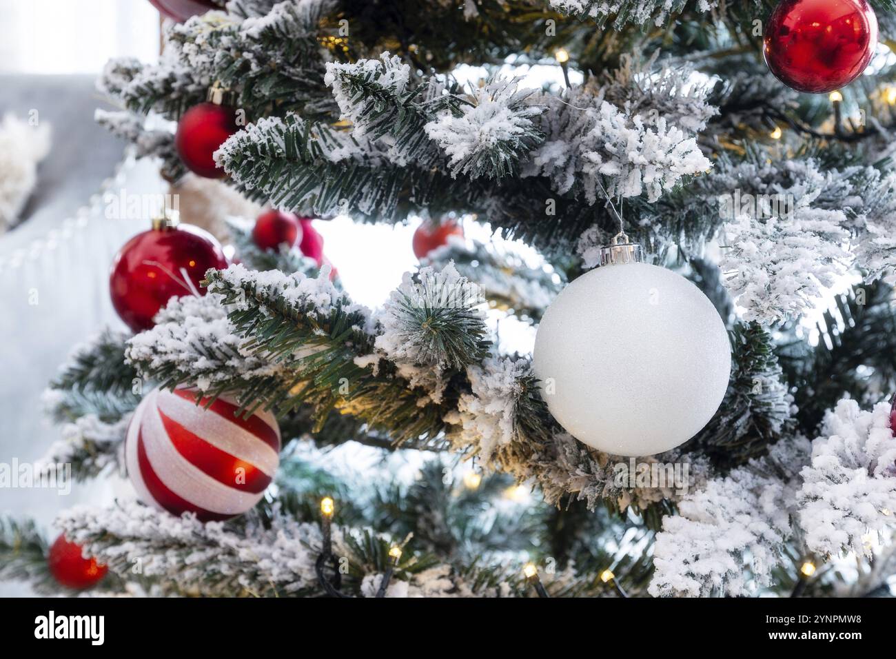 Sfondo cartolina Natale e Capodanno. Modello di vacanza con rami innevati, palle rosse sull'abete, primo piano Foto Stock