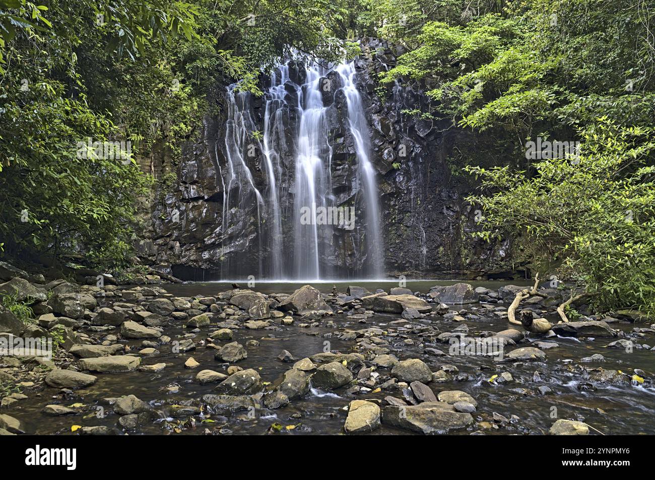 Ellinjaa Falls vicino a Milla Milla nel Queensland. Ha usato un polarizzatore Foto Stock