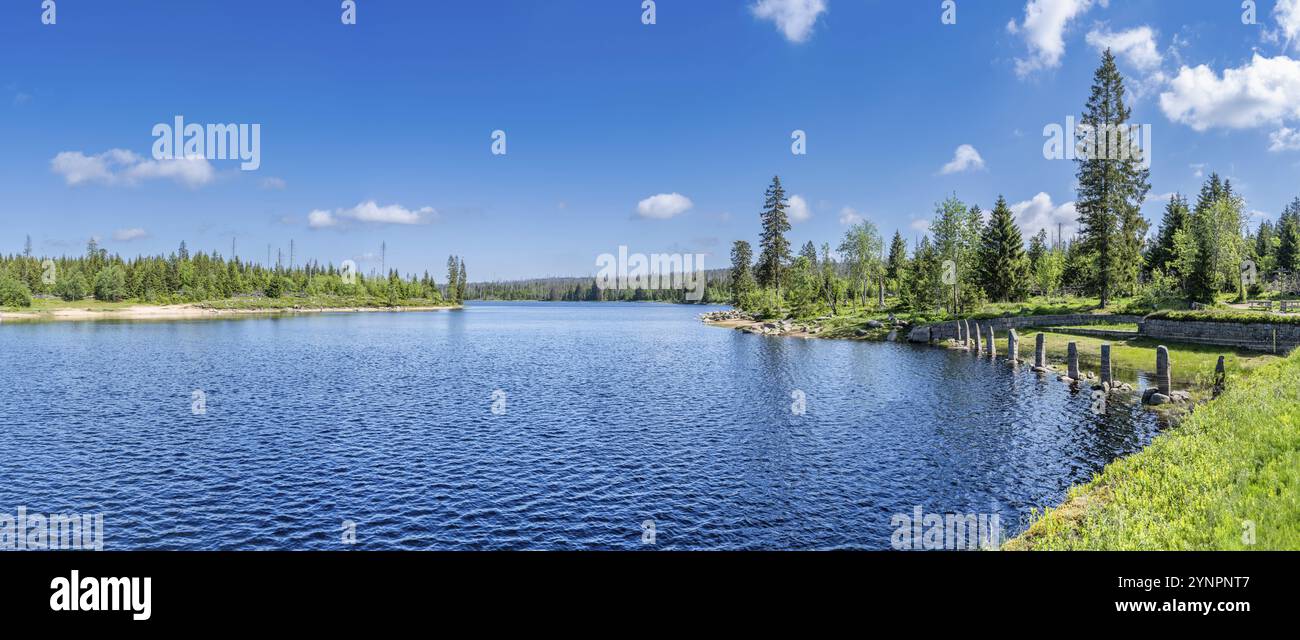 Una vista dell'Oderteich nelle montagne Harz sotto un cielo blu Foto Stock