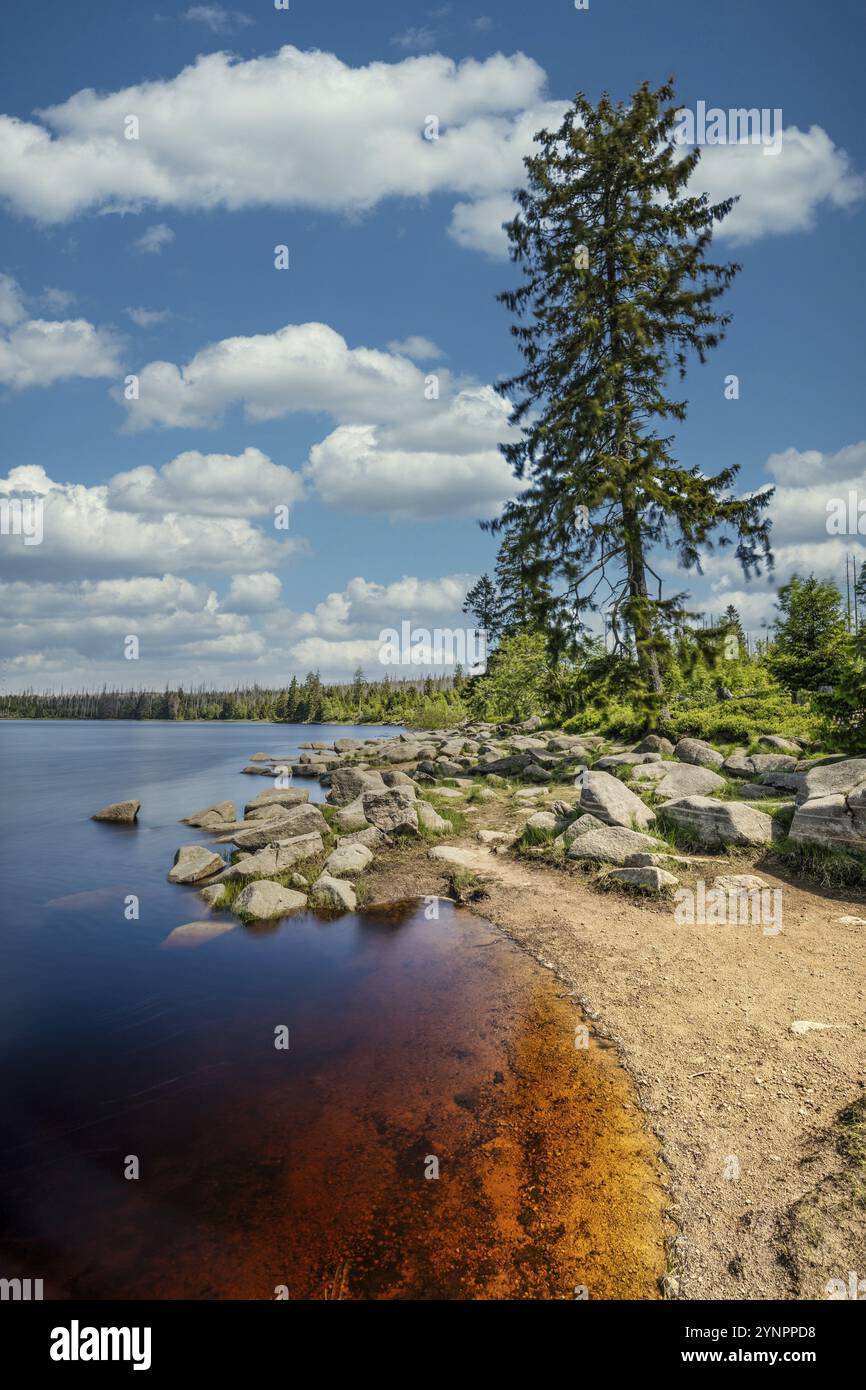 Una vista dell'Oderteich nelle montagne Harz sotto un cielo blu Foto Stock