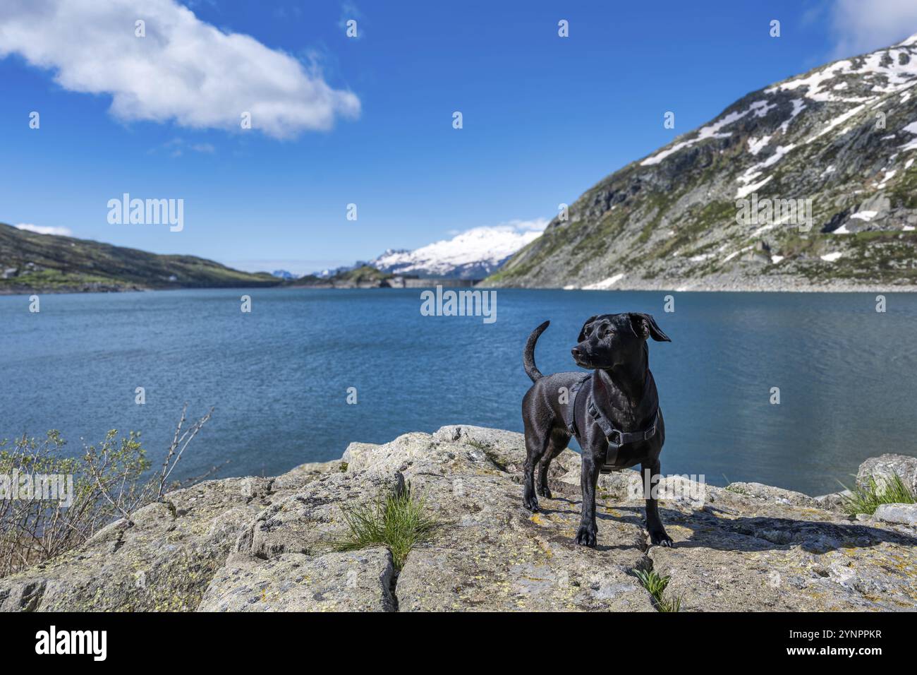 Una vista della diga di Montespluga vicino al passo Spluegen dall'Italia alla Svizzera Foto Stock