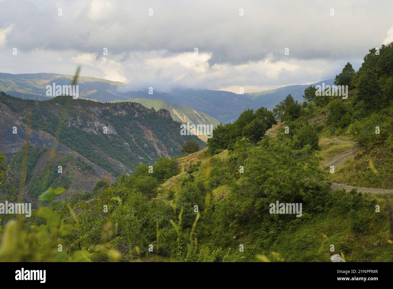 Parco nazionale di Hotova Dangell con vista sul paesaggio verde nonostante le secche condizioni estive Foto Stock