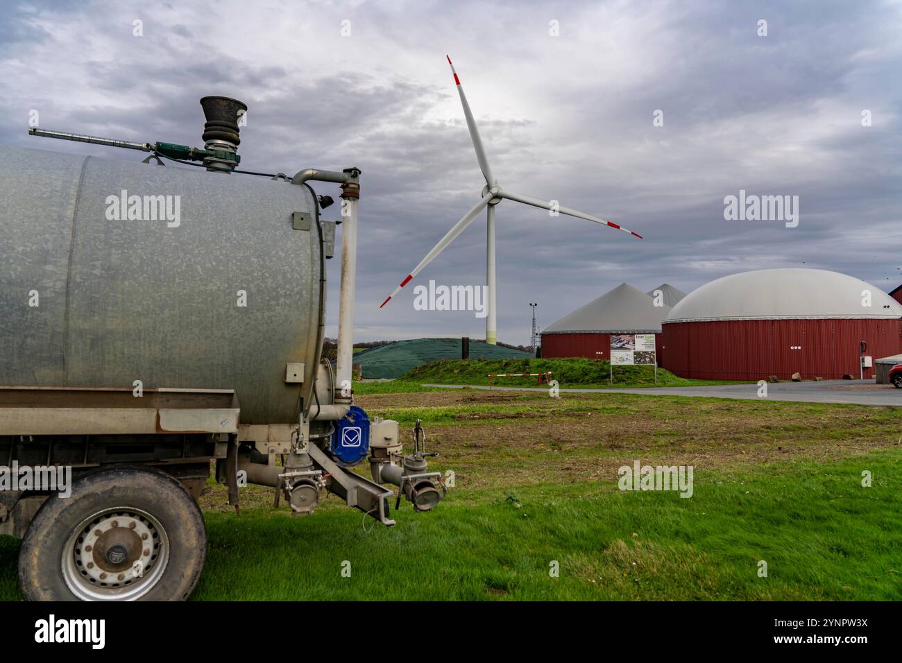 L'impianto di biogas produce gas da varie biomasse, l'elettricità viene generata in centrali elettriche e di calore combinate con il biogas prodotto e venduto a co Foto Stock