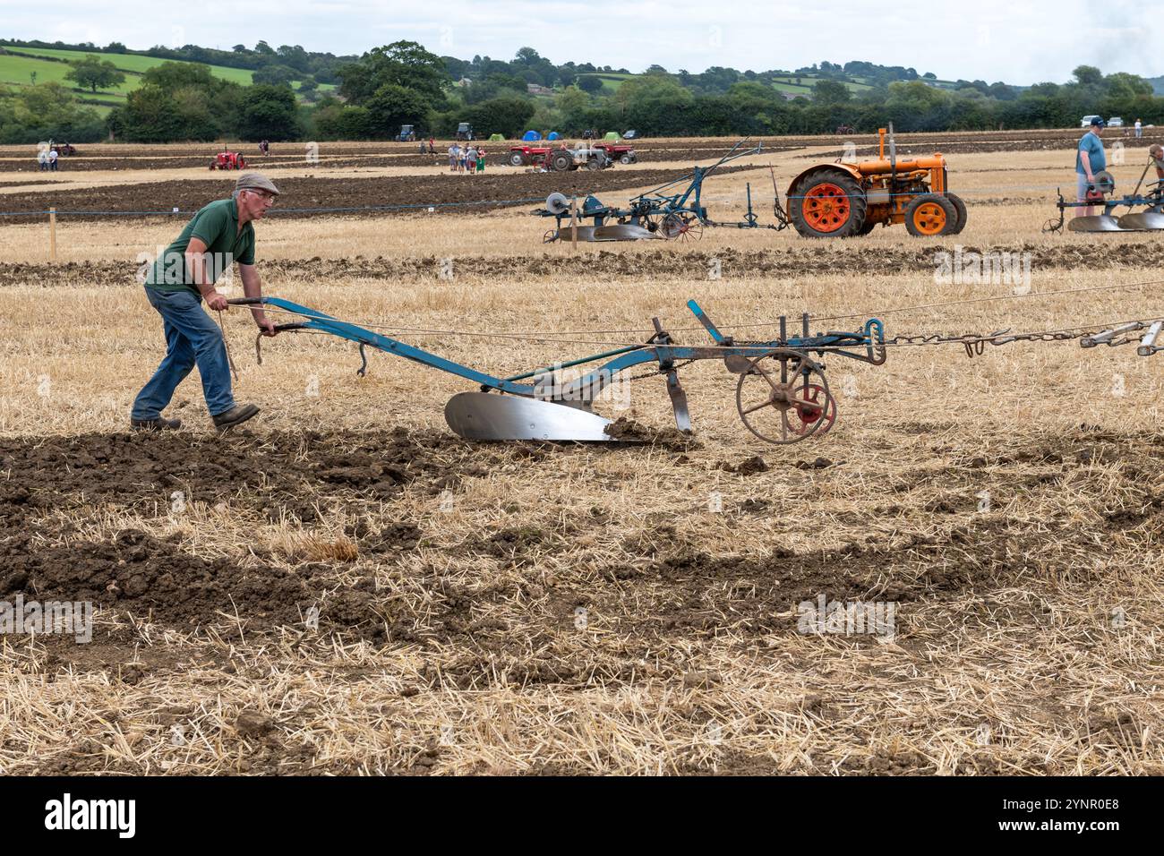 Haselbury Plucknet.Somerset.Regno Unito. 17 agosto 2024.Un aratro a trazione di cavallo viene utilizzato durante un evento agricolo di Yesterdays Foto Stock