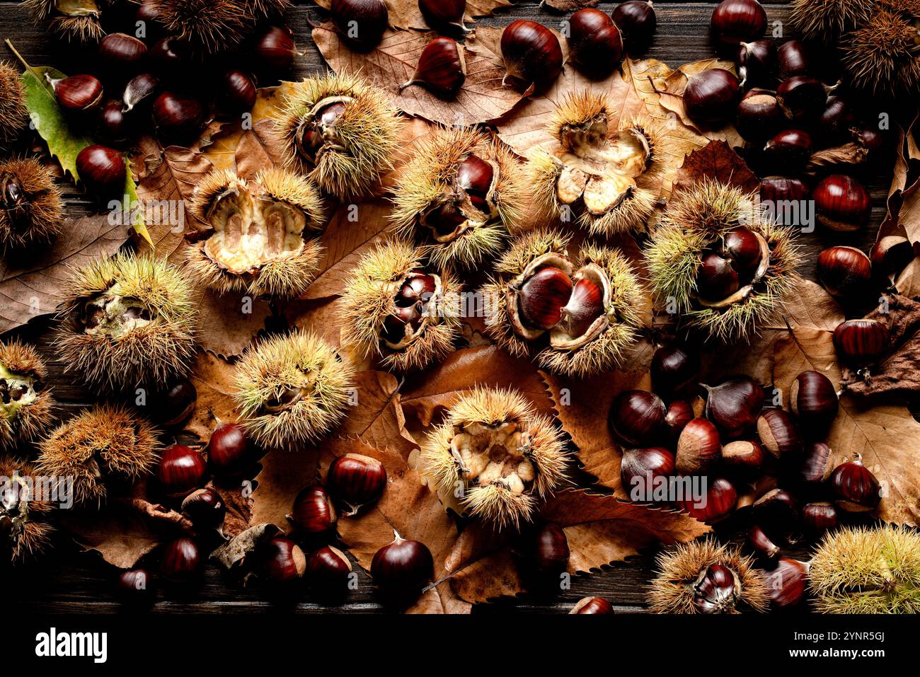 Vista dall'alto delle castagne autunnali su un vecchio tavolo di legno. Foto Stock