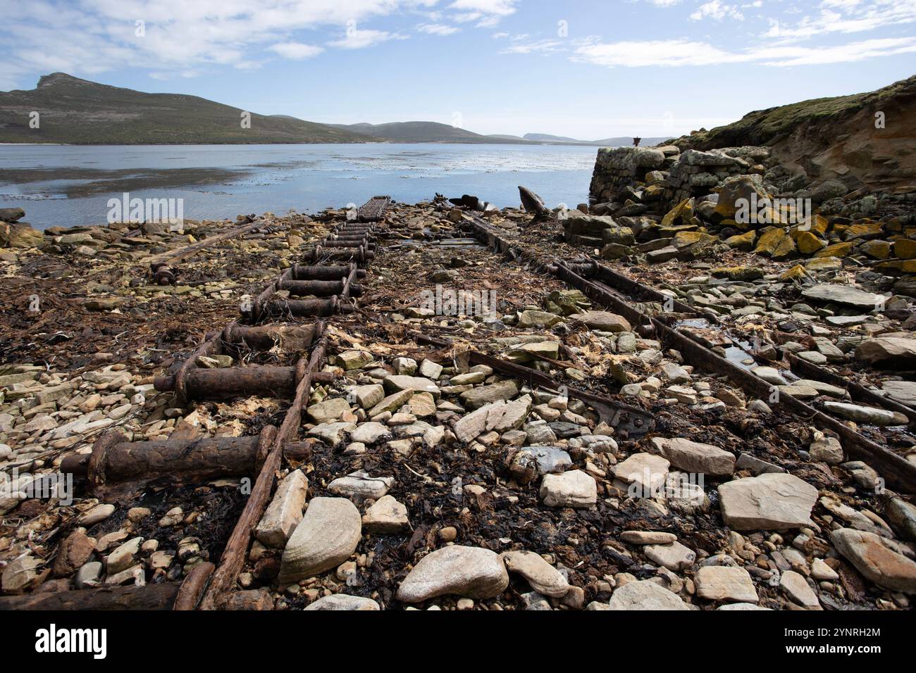 Resti della stazione baleniera dei primi anni del XX secolo a New Island, Isole Falkland. Foto Stock