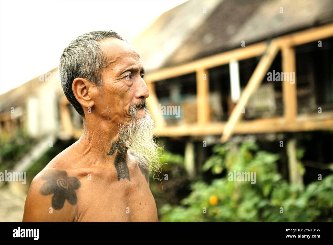 Ritratto di bandi Anak Ragai, conosciuto come 'Apay Janggut', un iconico difensore della foresta, mentre si trova fuori dalla solitudine della comunità IBAN Dayak a Batu Lintang, Embaloh Hulu, Kapuas Hulu, West Kalimantan, Indonesia. Foto Stock