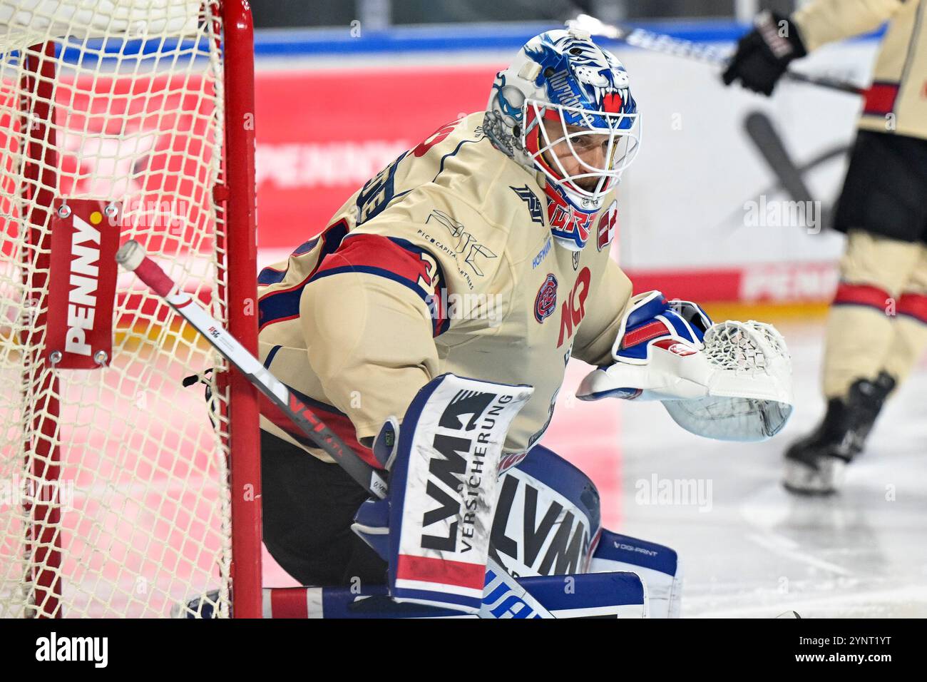 Eishockey DEL - 24/25 -20. Spieltag: Kölner Haie vs Nürnberg Ice Tigers AM 26.11.2024 in der LANXESS arena a Köln Nürnbergs Torhüter Niklas Treutle (Nr.31) foto: Osnapix Foto Stock