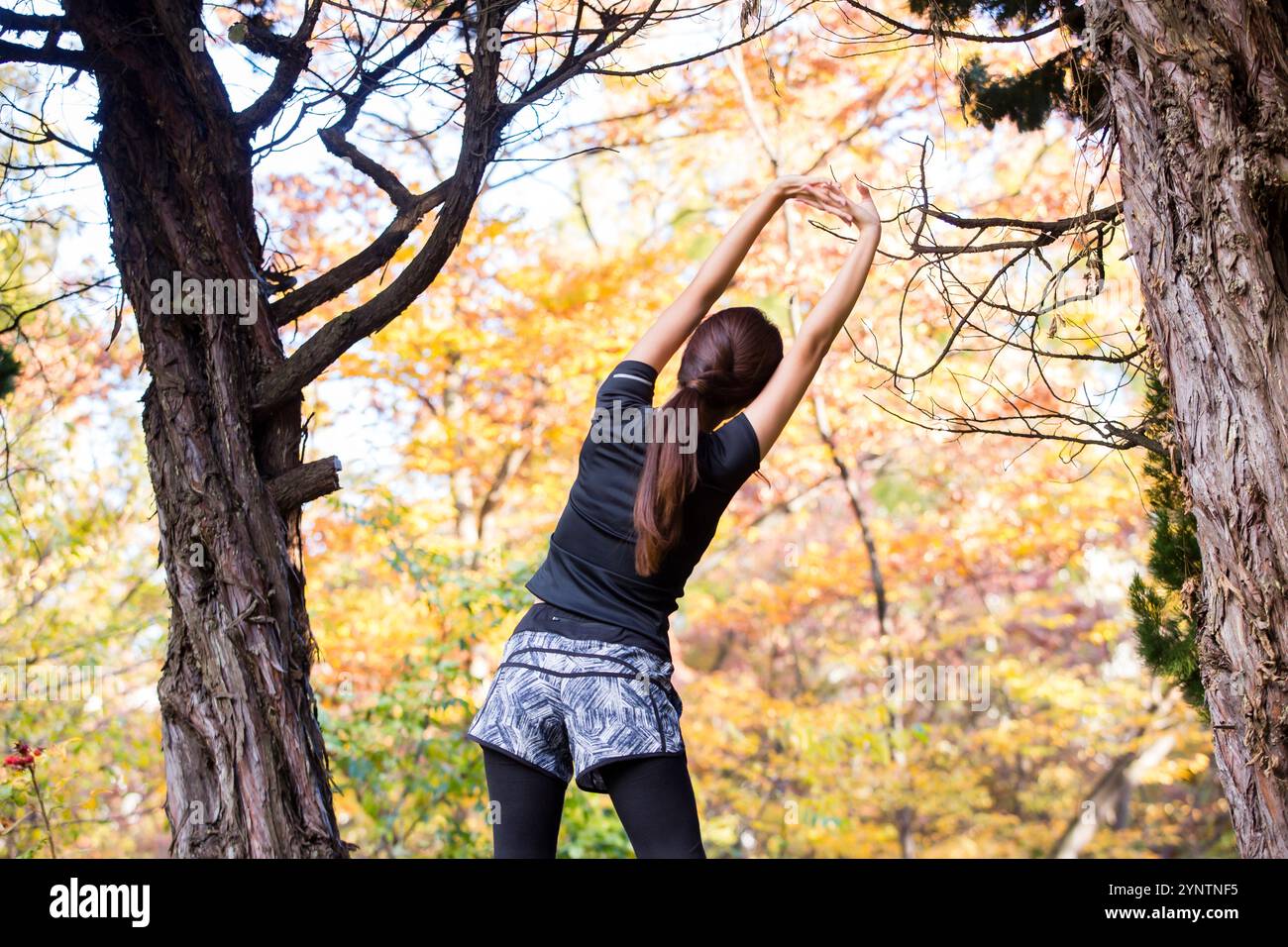 Donna in abbigliamento sportivo Foto Stock